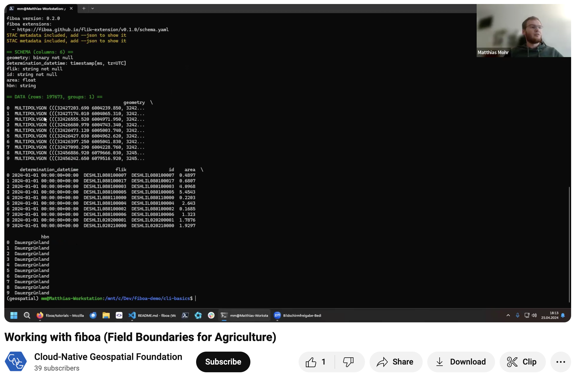 fiboa cli demo.